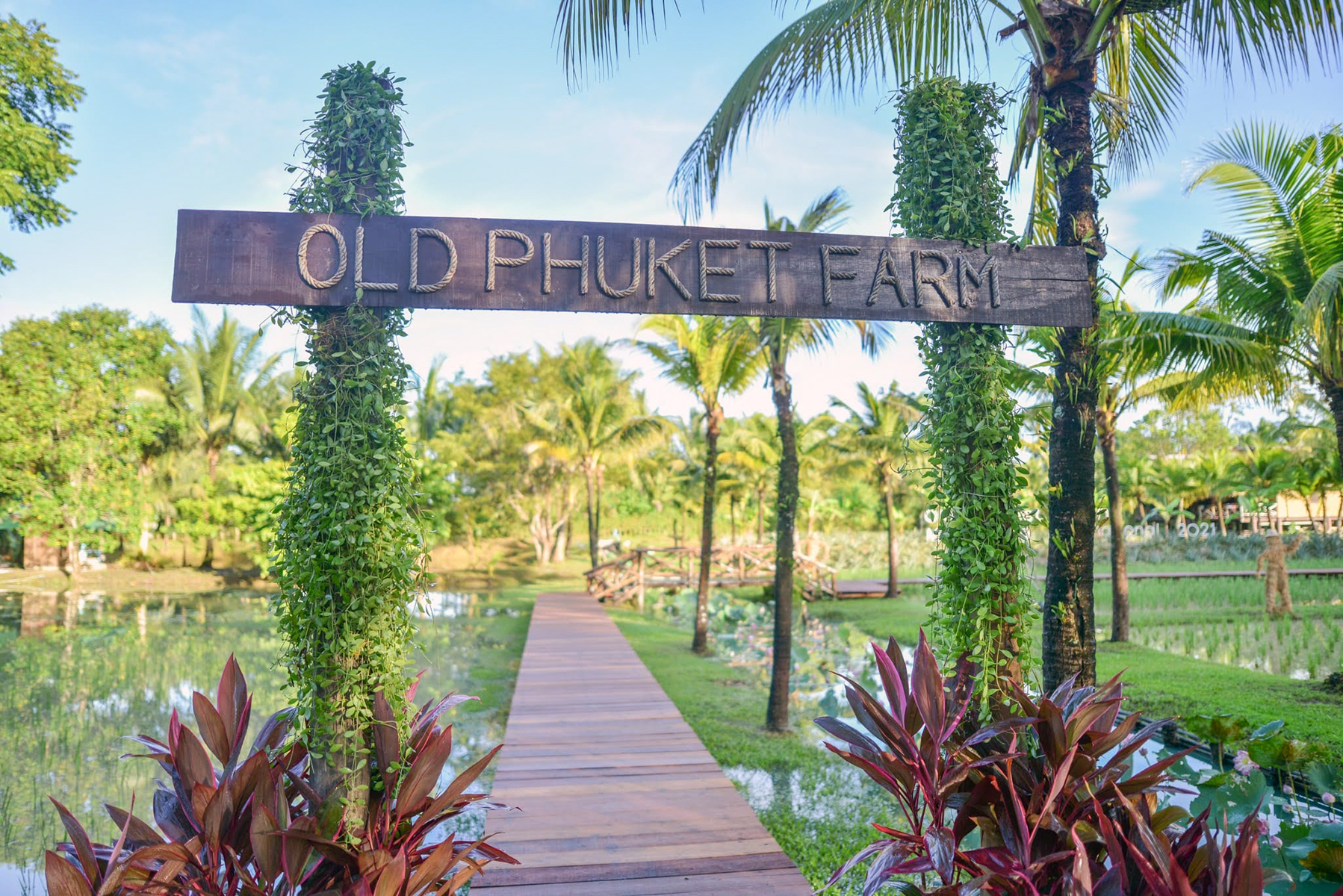 Old Phuket Farm